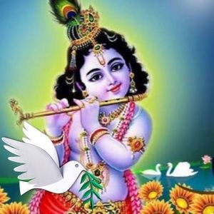 Meet your Posher, Shashi